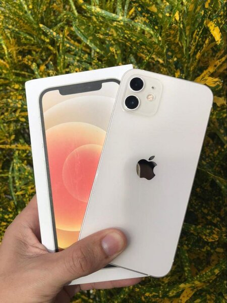 iPhone 12 Mini Blanc 64 Go