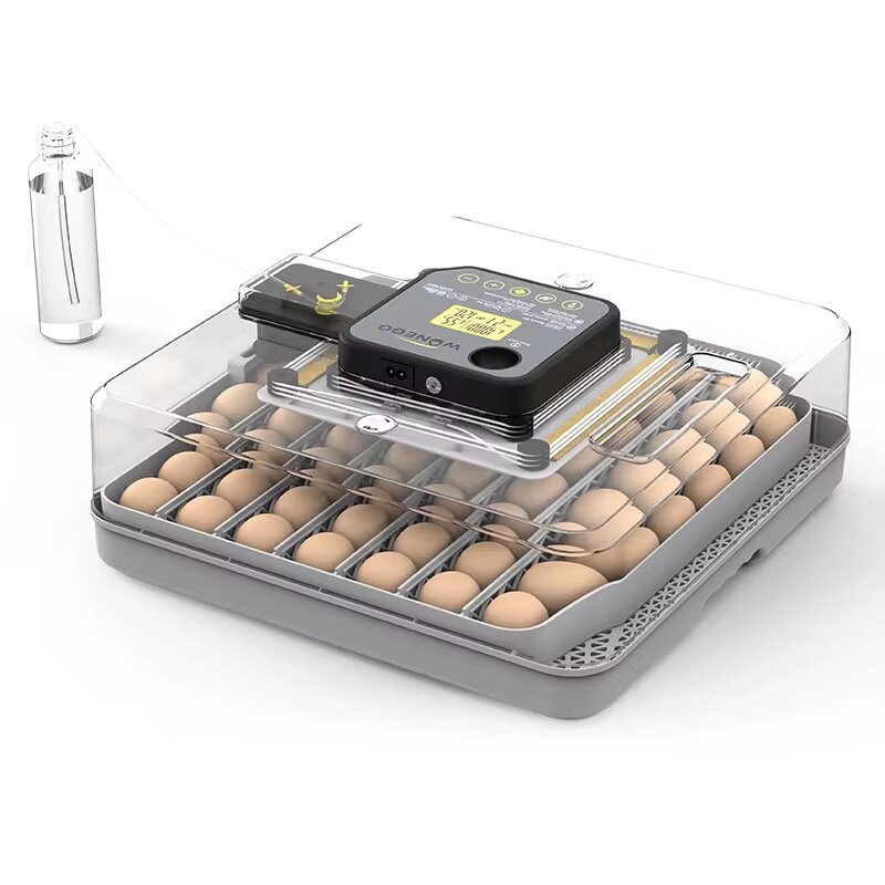 Couveuse automatique 48 oeufs