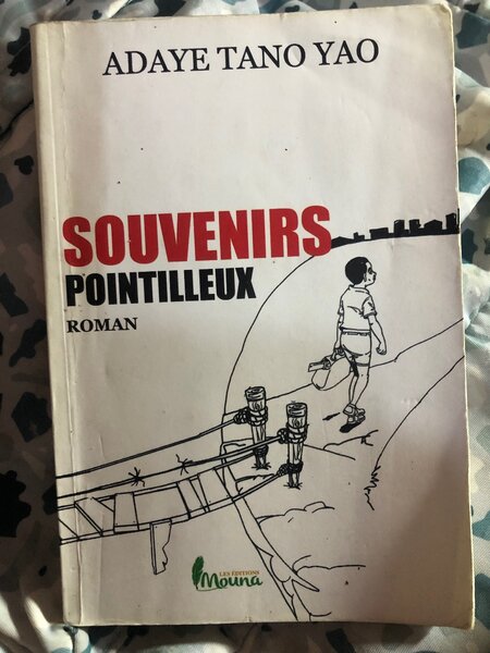 Souvenirs Pointilleux Roman