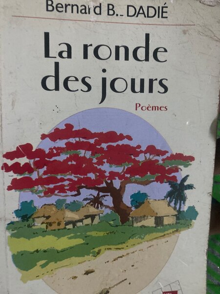 Livre de Poèmes Illustré