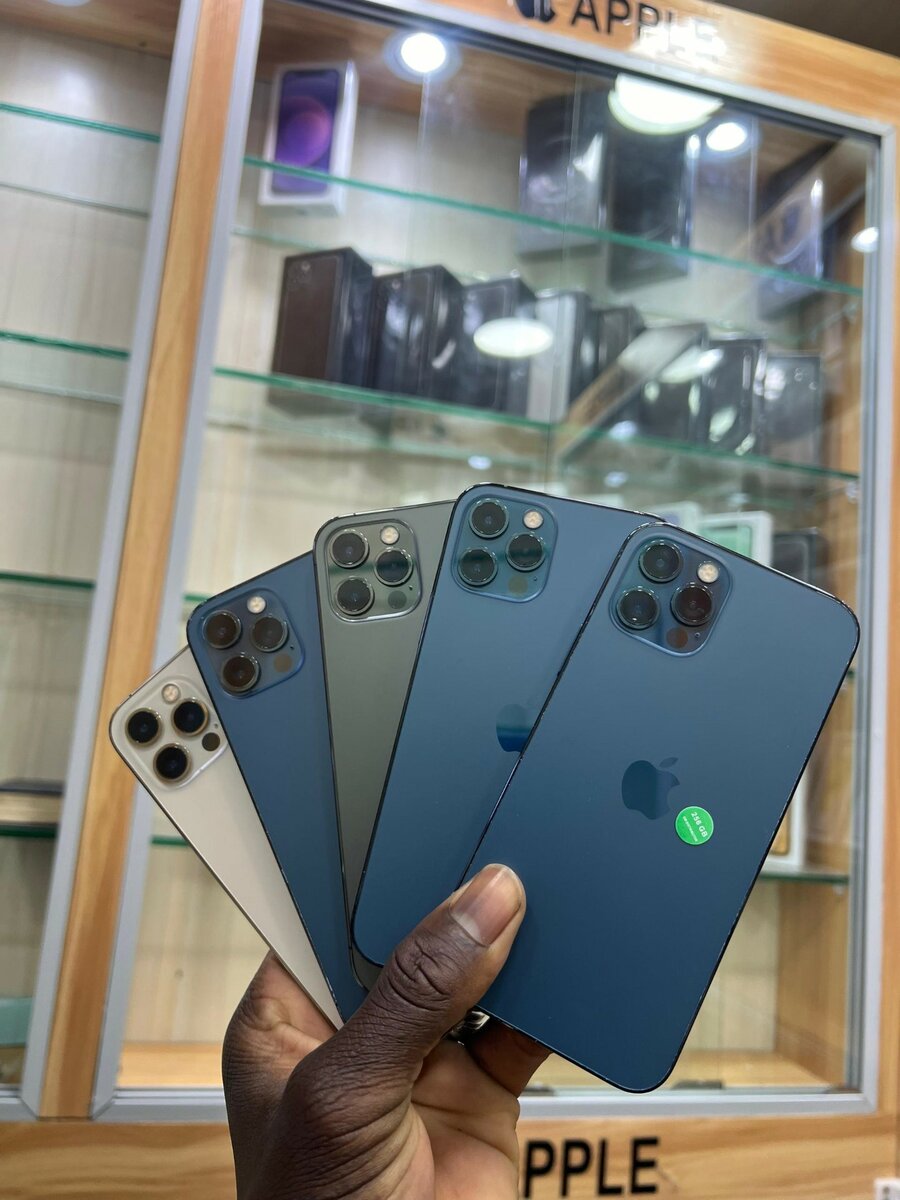 iPhone 12 Pro 256Giga Casi neu