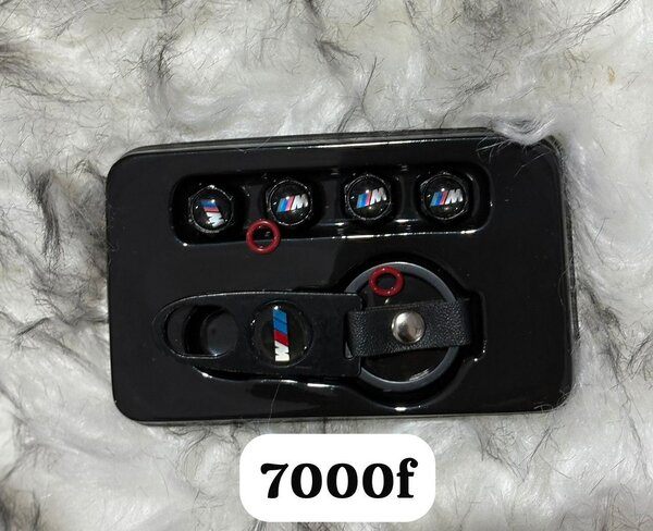 Porte clé, insignes de valf