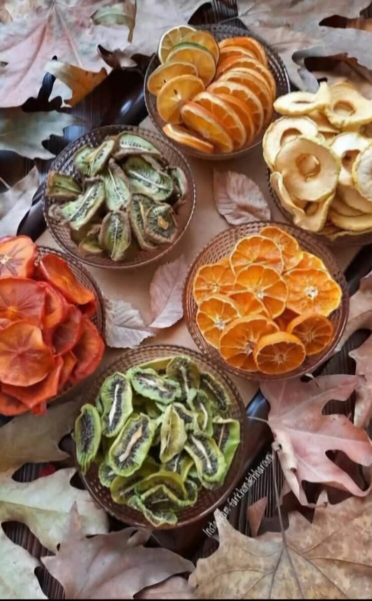 Déshydrateur Alimentaire Électrique