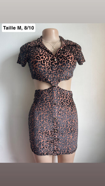 Ensemble Leopardie