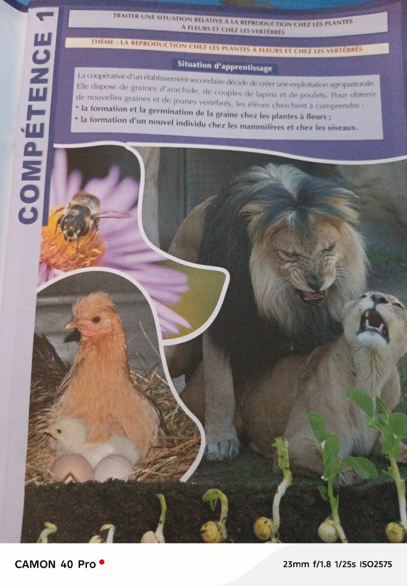 Livre d'apprentissage en SVT