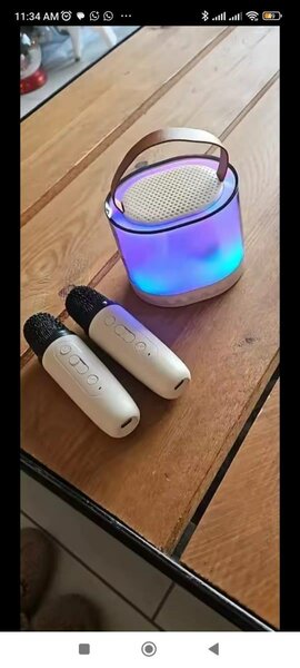 Karoke speaker with 2 mics