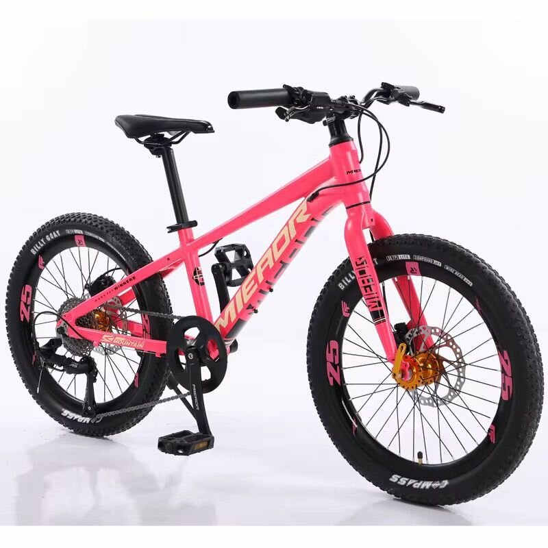 Vélo tout-terrain enfant - Meteor