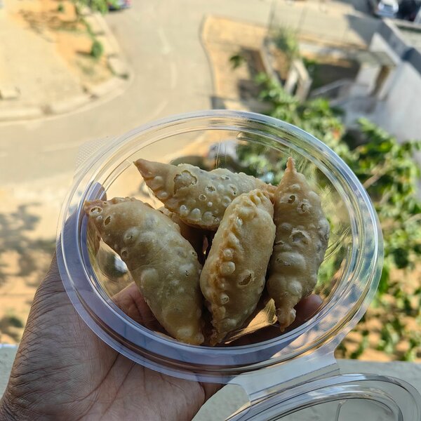 Pastels au poisson (8)