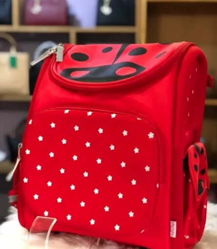 Beautiful lunch bags 🎒 😋 backpack Age: 8-12yrs