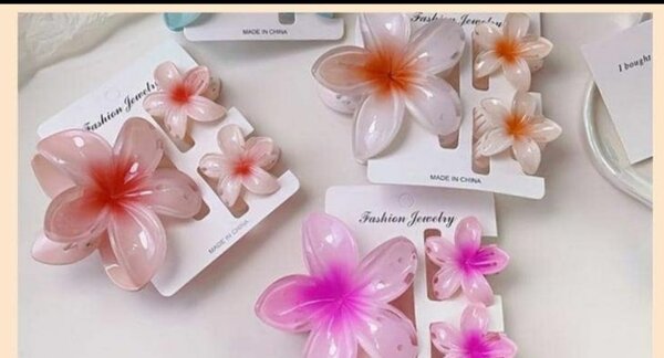 Trois Broches floraux colorés