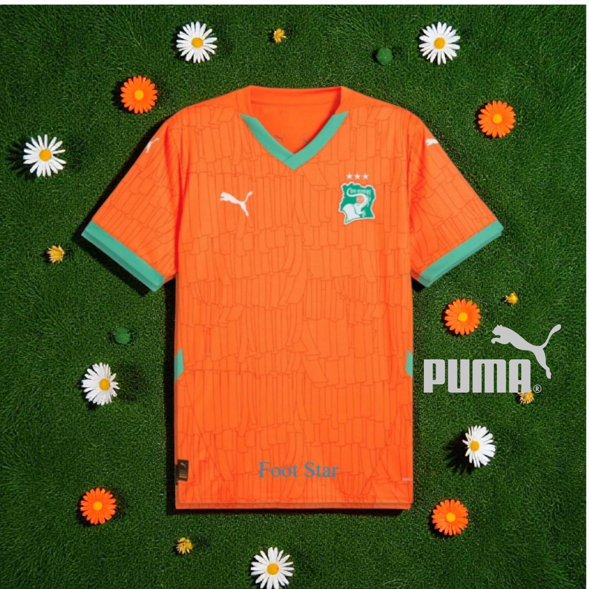 Maillot de Foot pays africain