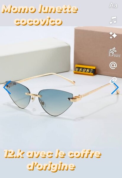 Lunettes de Soleil Élégantes