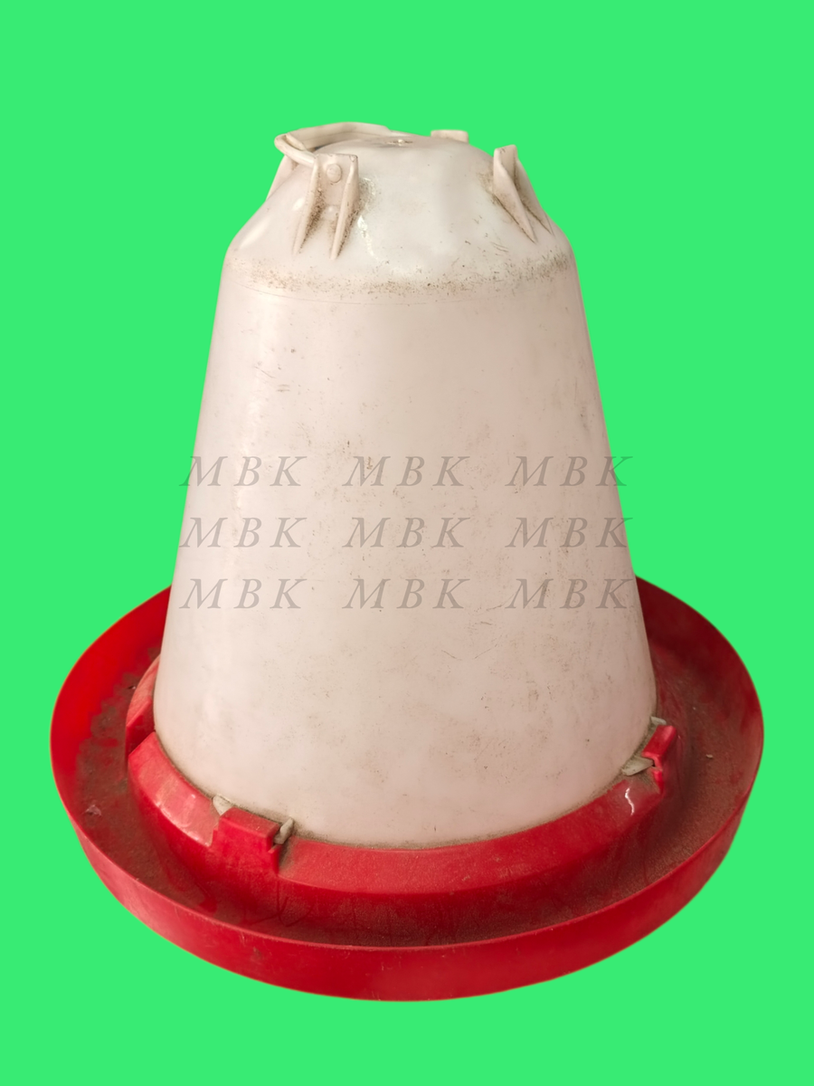 Un abreuvoir à volaille