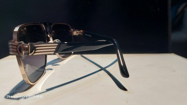 Lunettes de soleil rétro élégantes