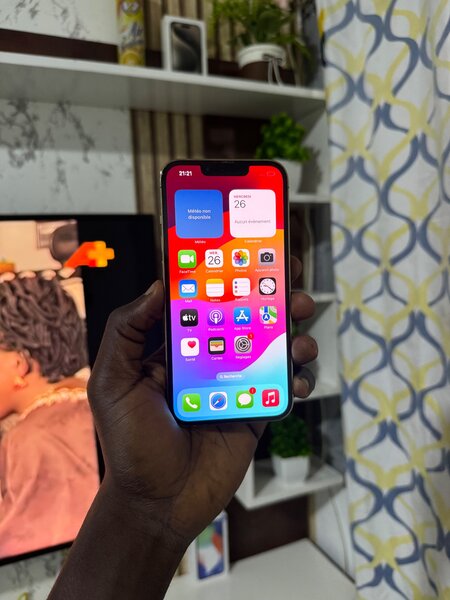 13 Pro Casi neuf venu de France