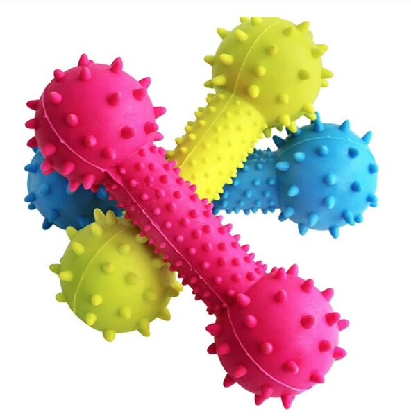 Jouets pour chiens colorés durables