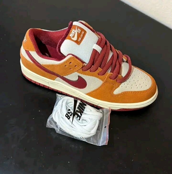 Chaussures Nike SB Colorées