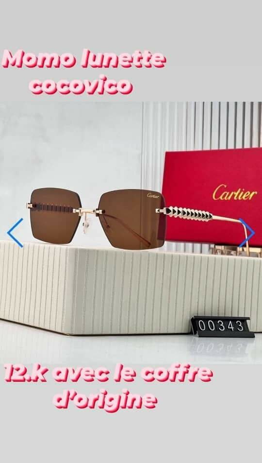 Lunettes de Soleil Élégantes