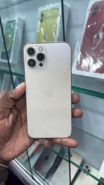 iPhone 12 Pro Max 256 Go