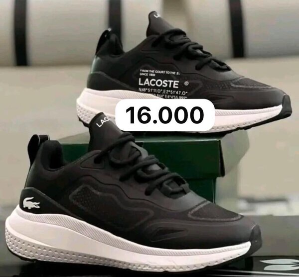 Baskets Lacoste pour hommes