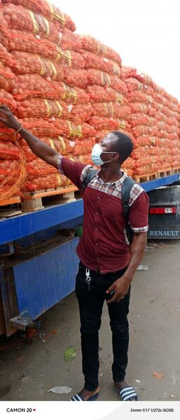 Oignons de haute qualité/sac d