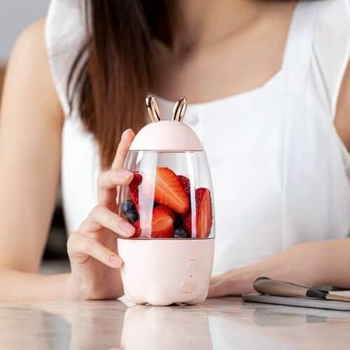 Mixeur Portable pour Smoothies