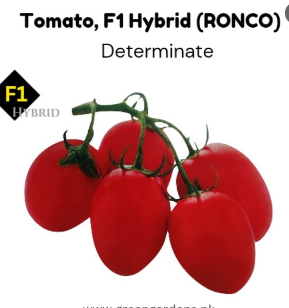 Tomato F1 Hybrid, RONCO (Determinate)