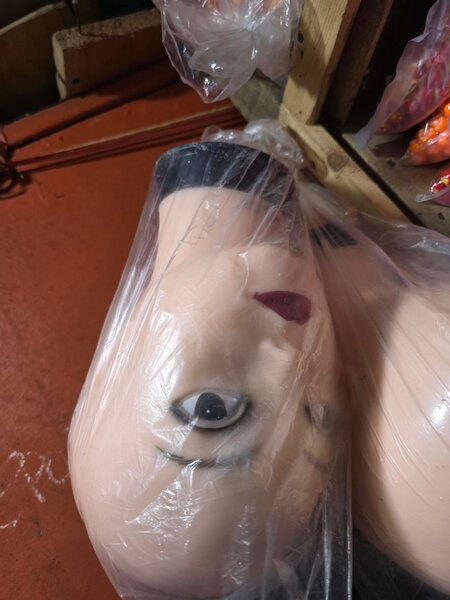 Mannequin Head for Display