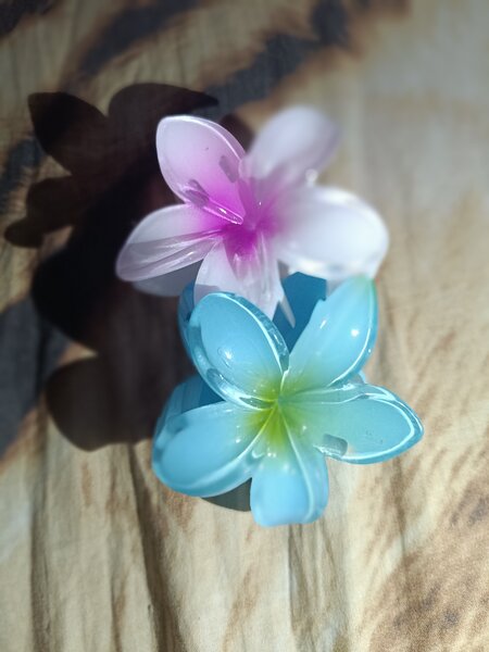 Pinces à cheveux fleurs colorées