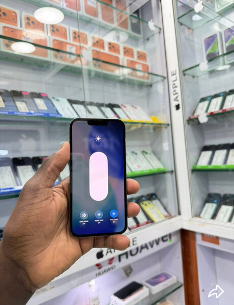 iPhone Pro Max 256 Go