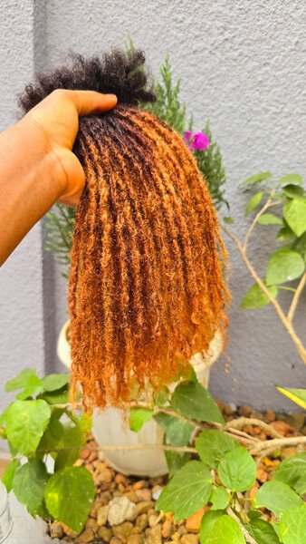 Dreadlocks sisterlocks