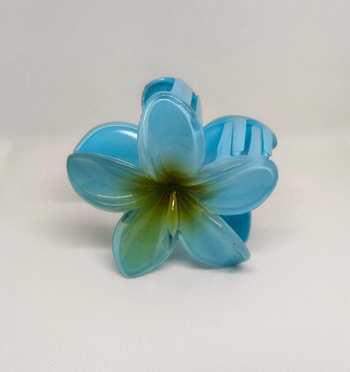 Pinces à cheveux fleurs colorées