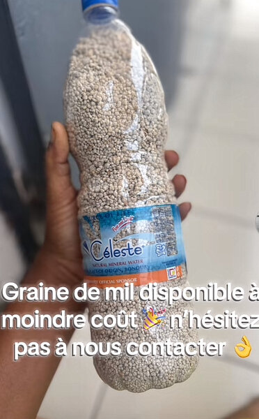 Grains de Mil Premium