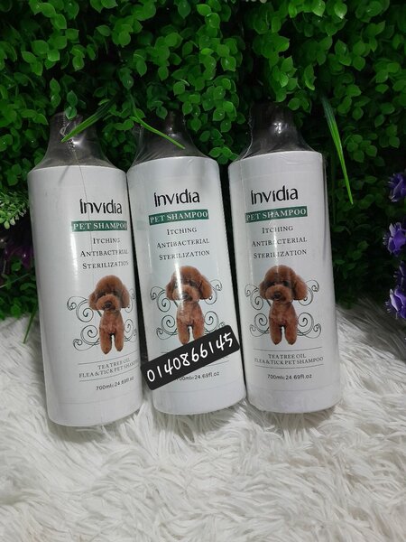 Shampooing pour chien