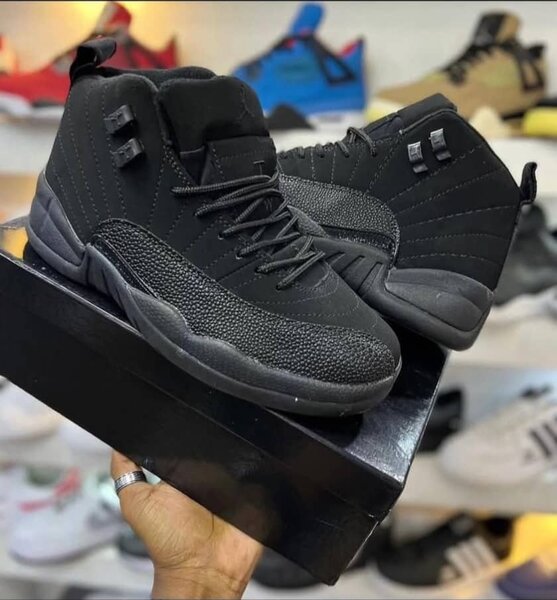 Air jordan 12
