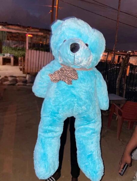 Gros Ours en Peluche Géant