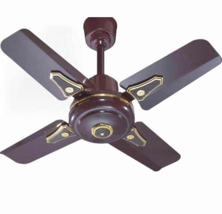 Short blade celling fan