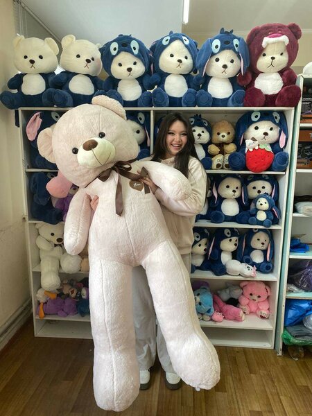 Большие Мишки