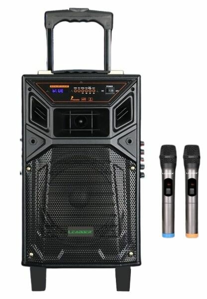 Enceinte Karaoké Portable 40W