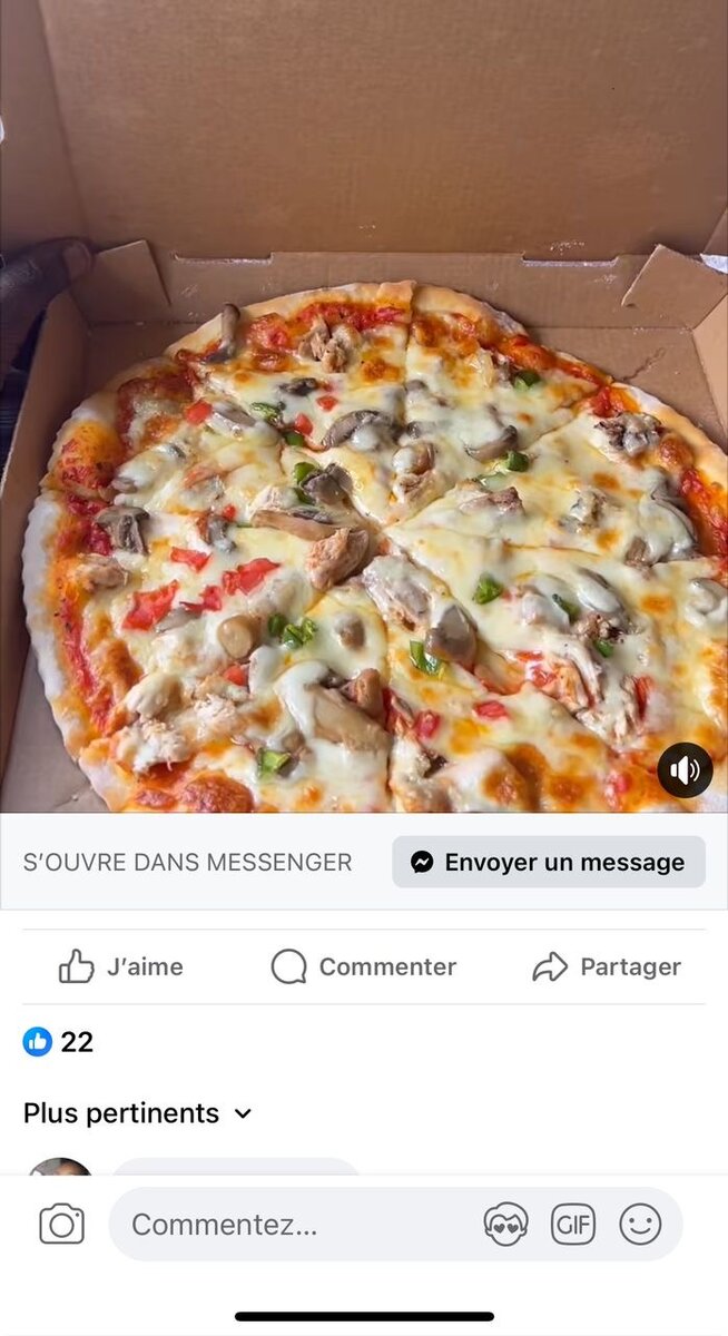 Pizza  au poulet / pizza royal