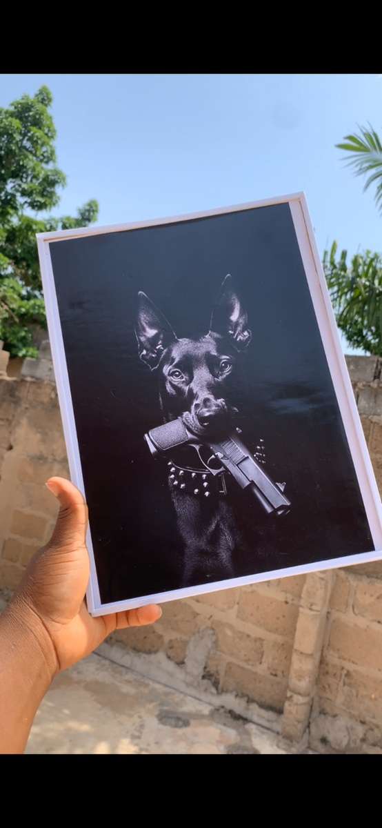 Aesthetic wall Frames