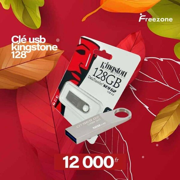 Clé USB KINGSTON 128 GB