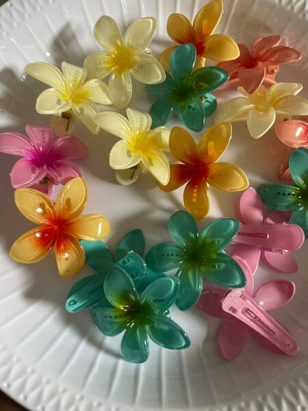 Clips à cheveux fleuries colorées