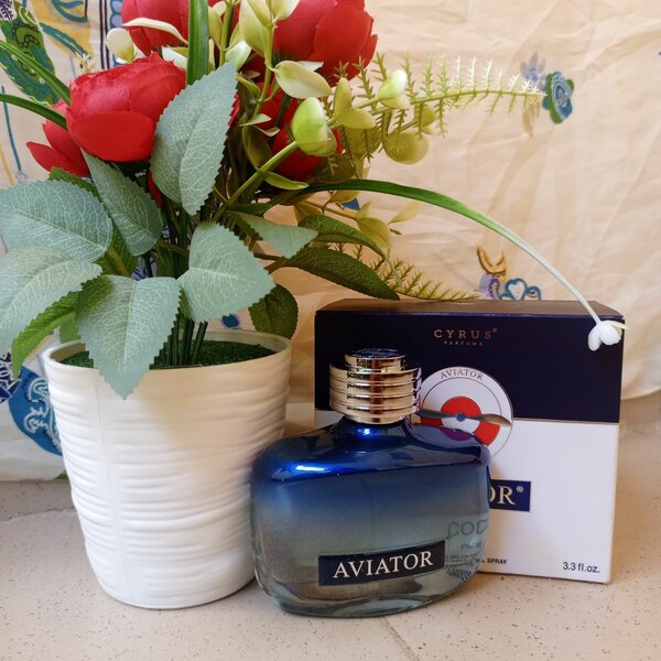 Parfum Aviator Homme