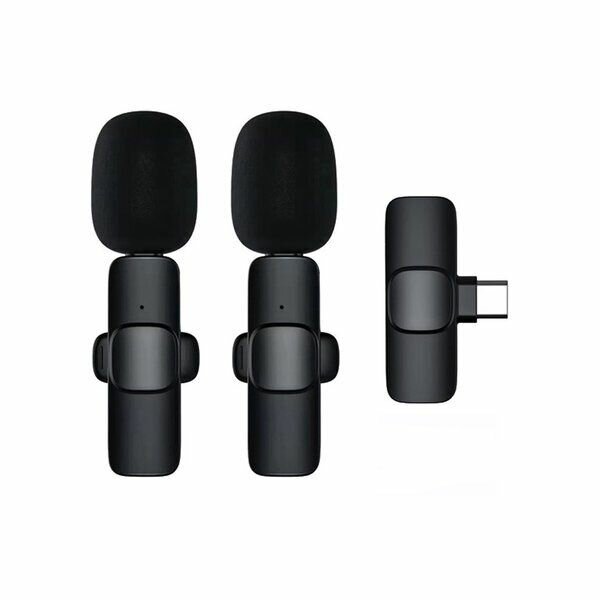 Microphone sans fil double