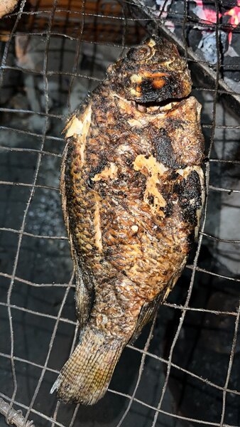 Poulet grillé et poisson savoureux