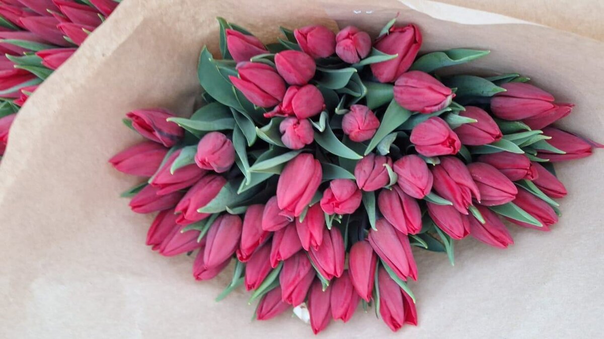 Тюльпаны оптом и в розницу