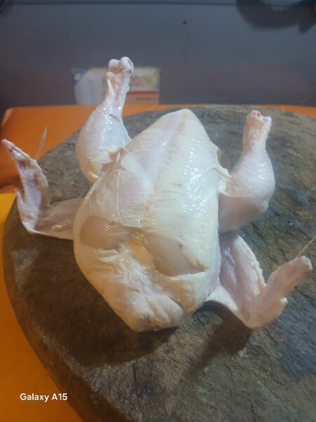 Poulet de chaires
