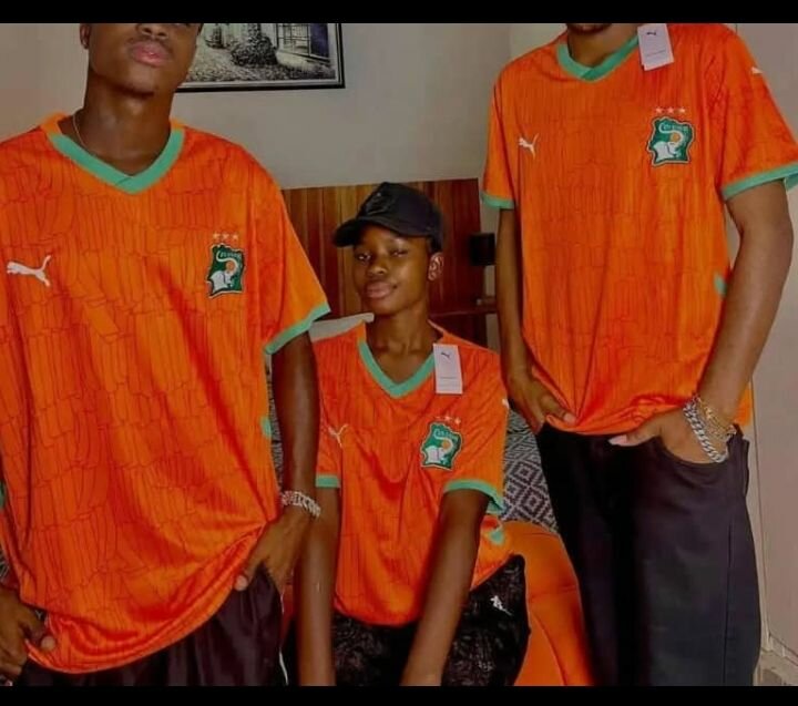 Maillot Côte d'Ivoire Puma