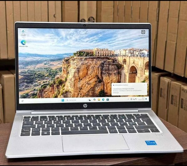 Ordinateur portable HP argent